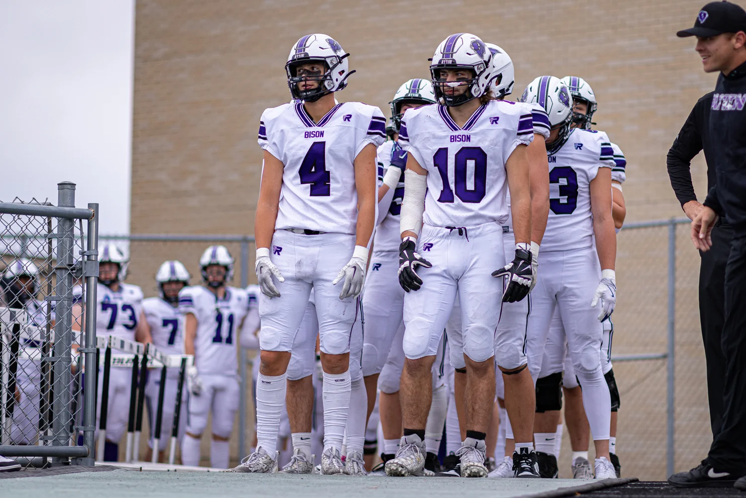 Buffalo Bison about to hit the field