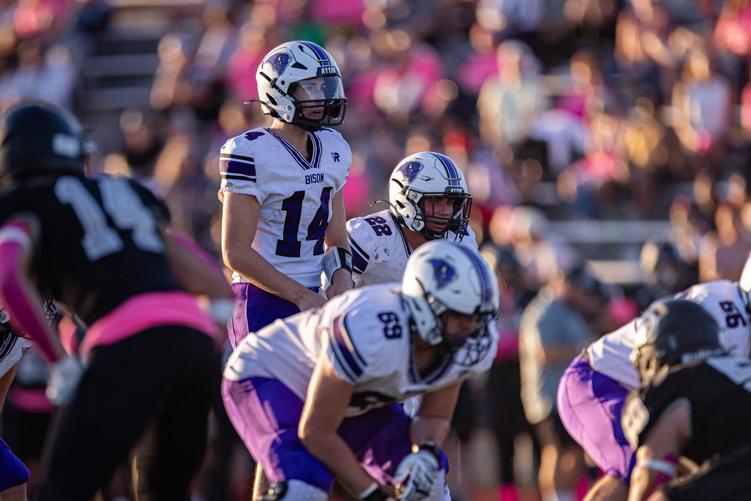 QB looking over the defense