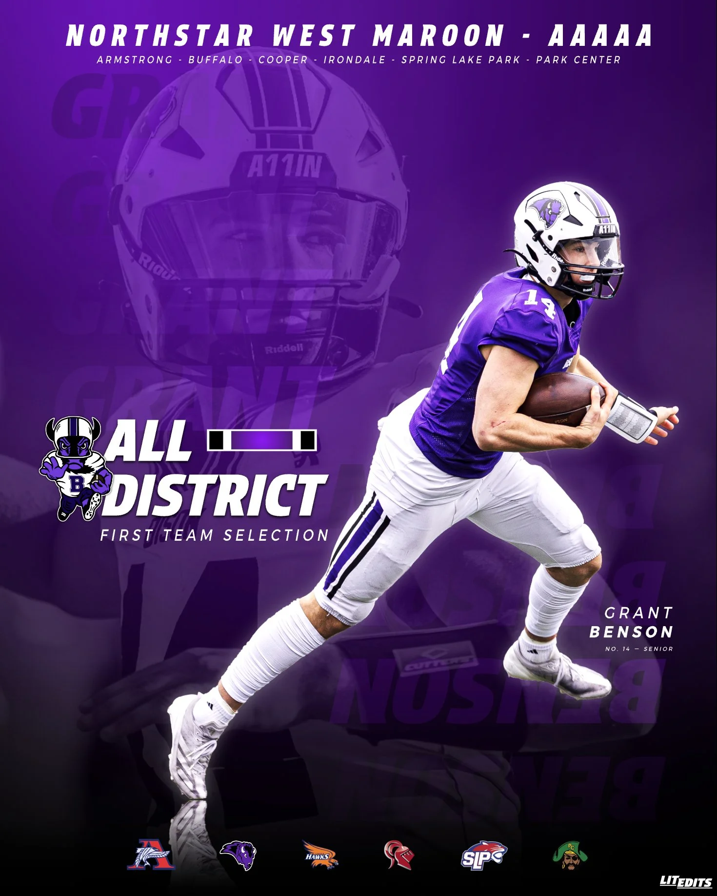 Buffalo Bison Grant Benson - First Selection