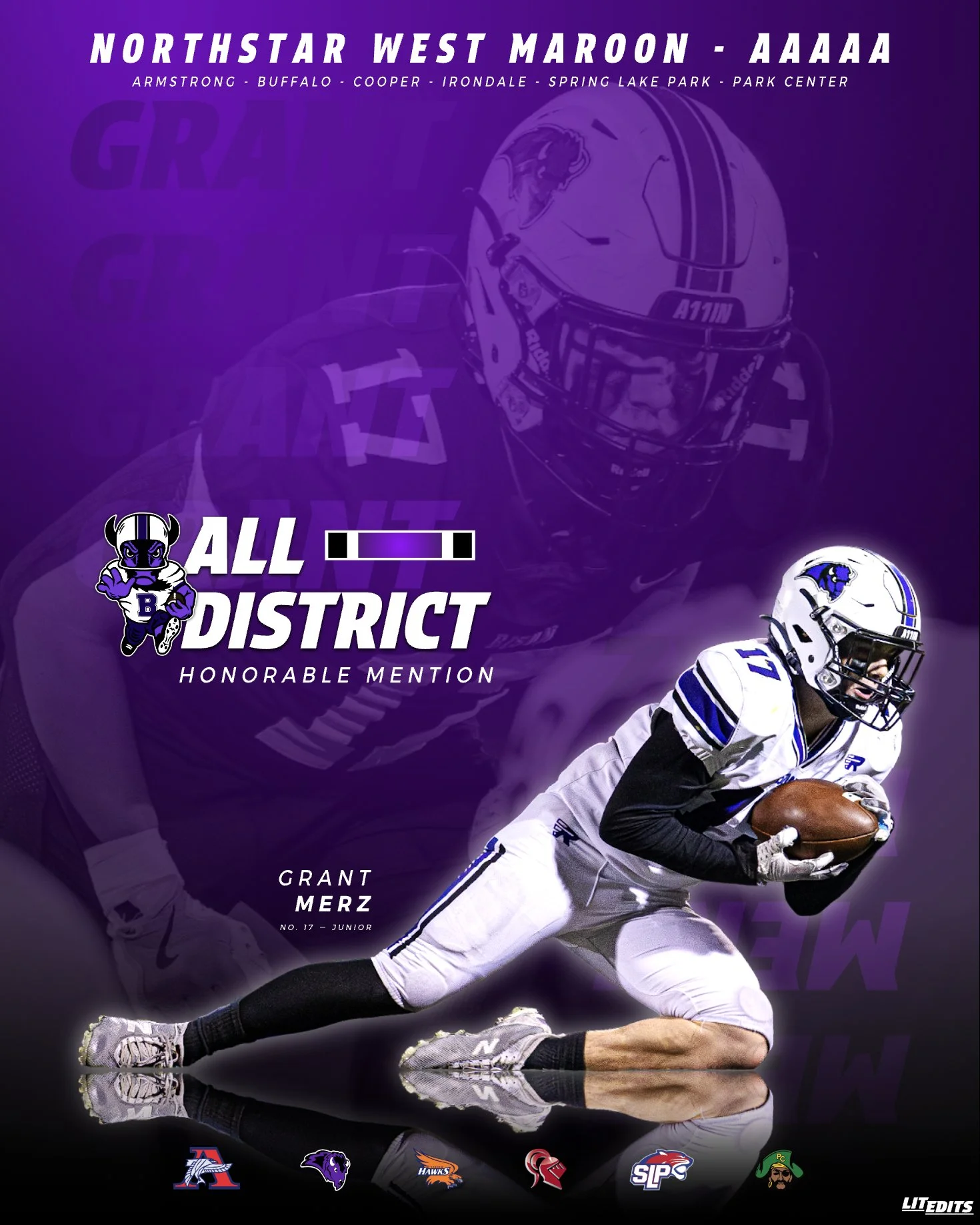 Buffalo Bison Grant Merz - Honorable Mention