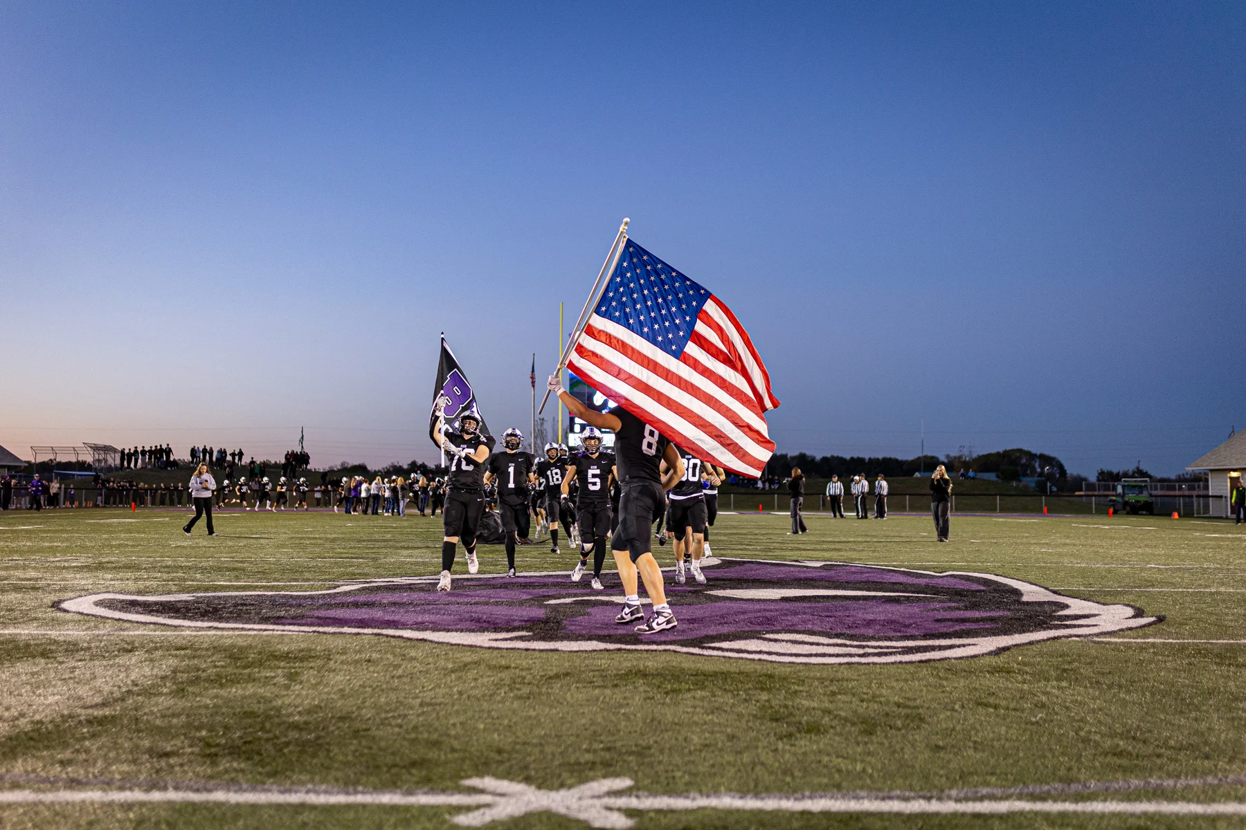 Bison running onto the field