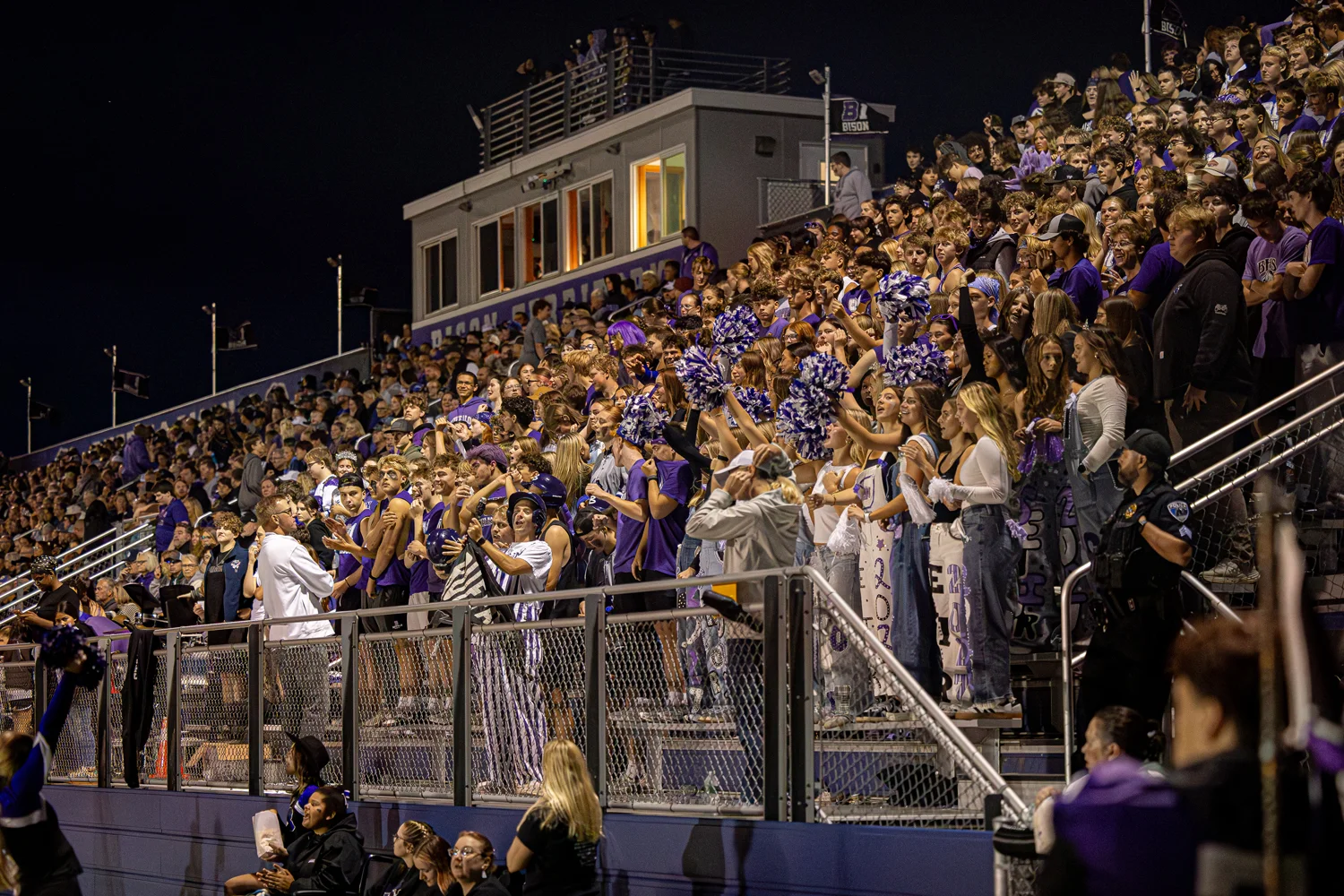 Buffalo Bison Crowd showing up for the team